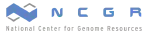 National Center for Genome Resources Talk: OPAL: Open Source Parallel Algorithm Library for Designing Efficient PRAM-Like Algorithms for Symmetric Multiprocessors