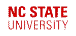 NCSU Invited Talk: Petascale Computing for Large-Scale Graph Problems and Computational Biology