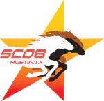 SC08 Workshop Keynote Talk: Accelerating Applications with Cell Broadband Engine, Graphics, and Multithreaded, Processors