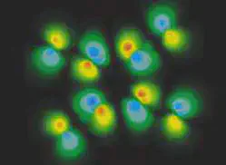 COMPUTER PROWESS. The highest occupied molecular orbital in the 9,10-dimethyleneanthracene photodimer was computed by Baldridge and imaged by Johnson of SDSC using volume graphics techniques.