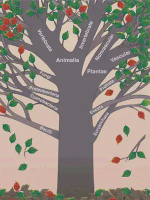 Figure 1: The tree of life.