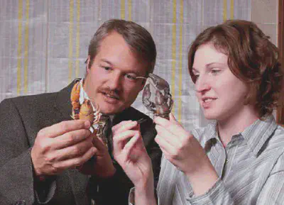 Figure 2: Biology professor Keith Crandall and doctoral candidate Jennifer Buhay examine a crawfish in Crandall's lab. The pair study the genetic differences among crayfish species, and used their expertise to author a paper in Science about better methods for assembling the relationships among all species.