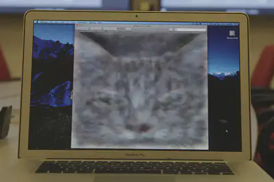 An image of a cat that a neural network taught itself to recognize. *Credit Jim Wilson/The New York Times*