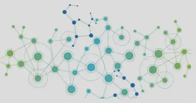 Streaming Graph Algorithms